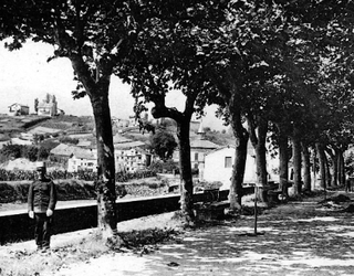 Hondarribiko zumardien sustraietara bisita historikoa antolatu du Arma Plazak asteburuan