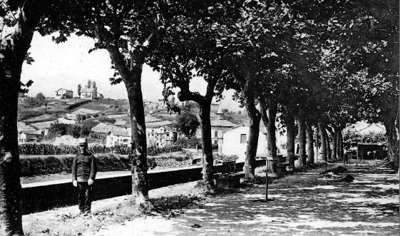 Hondarribiko zumardien sustraietara bisita historikoa antolatu du Arma Plazak asteburuan