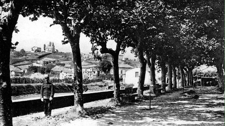 Hondarribiko zumardien sustraietara bisita historikoa antolatu du Arma Plazak asteburuan