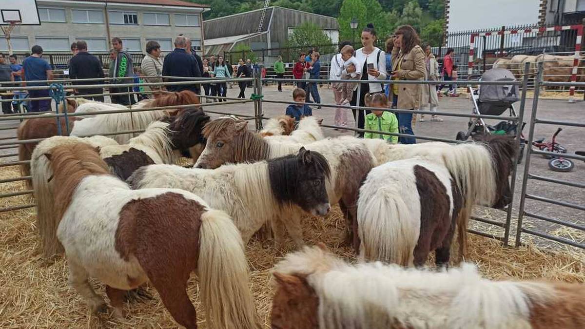 Berako 9. Azienda feria larunbata honetan ospatuko da