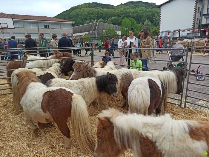 Berako 9. Azienda feria larunbata honetan ospatuko da