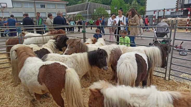 Berako 9. Azienda feria larunbata honetan ospatuko da