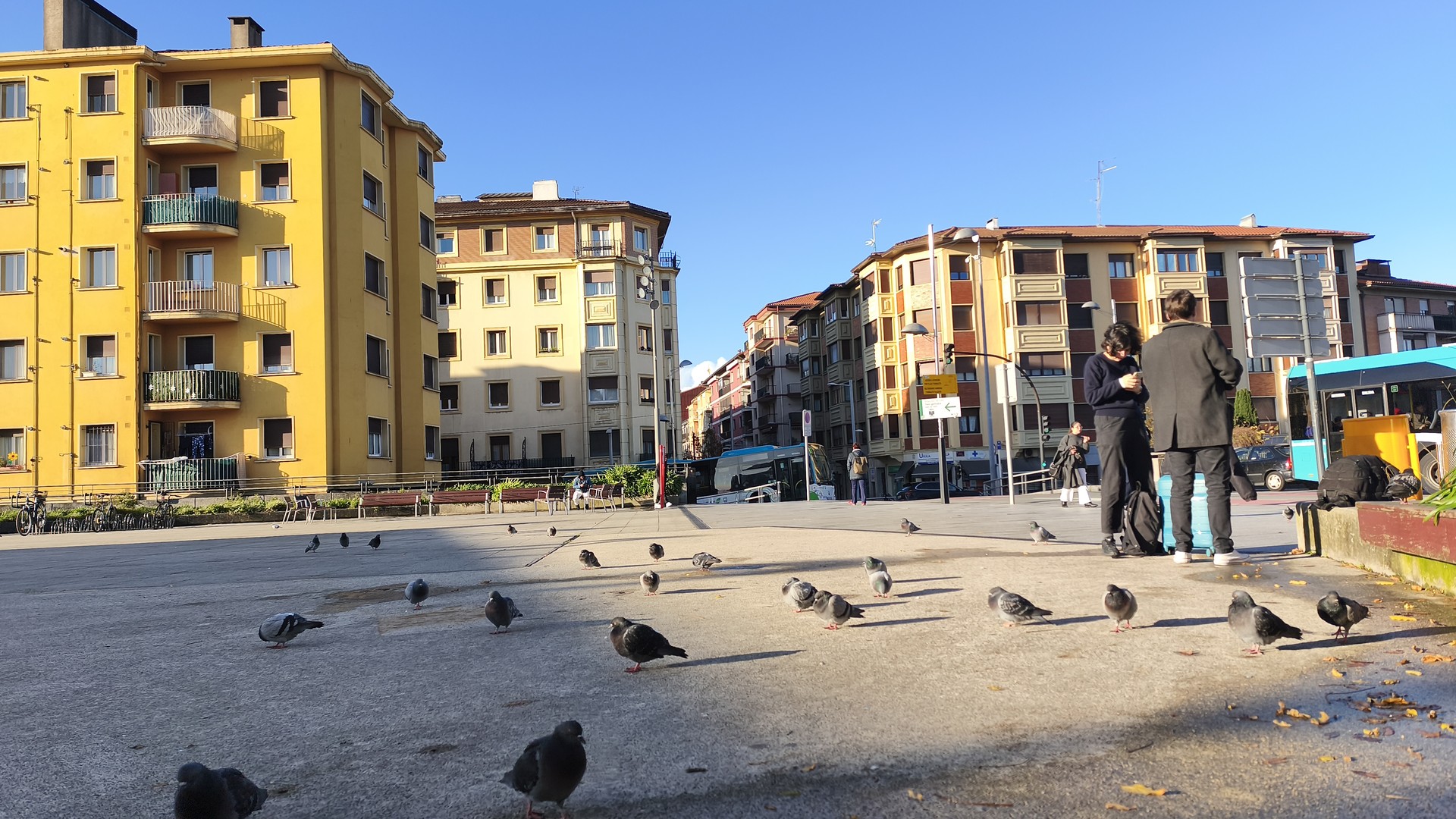 Usoen populazioa apaldu da Irunen, baina zenbait auzoetan nabarmen ugaritu dira