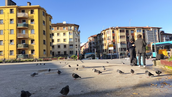 Usoen populazioa apaldu da Irunen, baina zenbait auzoetan nabarmen ugaritu dira