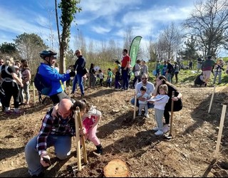 Zuhaitz Eguna ospatuko dute larunbatean Hondarribiko jaiotza-tasaren apaltzearen lekuko