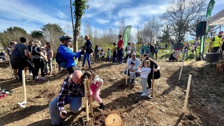 Zuhaitz Eguna ospatuko dute larunbatean Hondarribiko jaiotza-tasaren apaltzearen lekuko