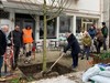 Erauzitako ezki zentenarioen ordezko zuhaitzak landatu dituzte Errepublika plazan