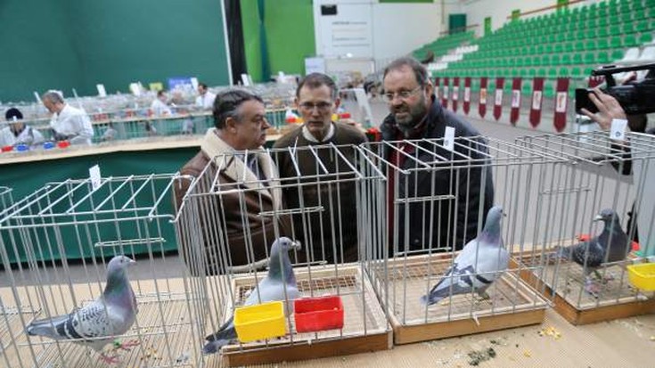 225 uso mezulari batu dituzte Jostaldi Pilotalekuan 