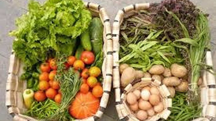 Tokiko merkataritzaren aldeko  apustua egin dute Bidasotarrek 