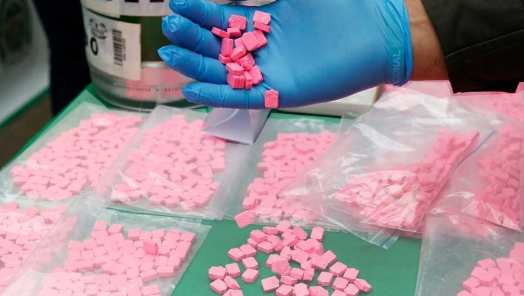 Bidasoaldeko droga trafikatzailerik handienetakoa atxilotu dute