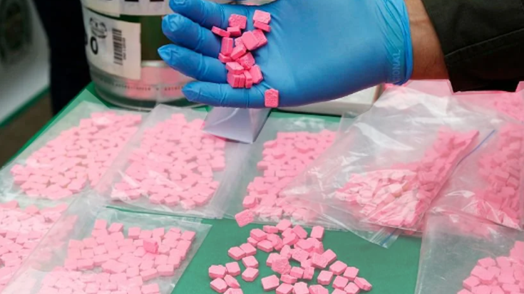 Bidasoaldeko droga trafikatzailerik handienetakoa atxilotu dute