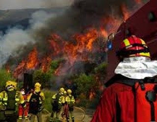 Suteak Euskal Herrian