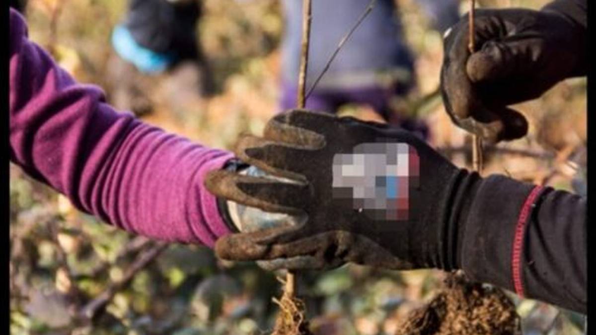 ITSASONDOKO ESPERIENTZIAK ETA INGURUMENA