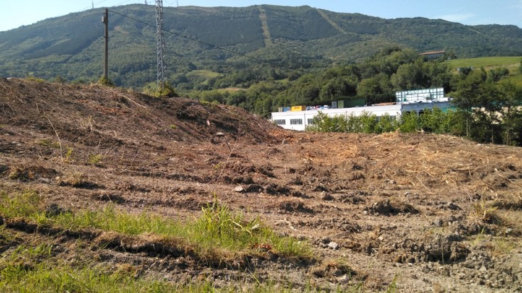 Zaldunbordan baimenik gabe txikitutako habitata lehengoratzeko exijitu dio Eguzkik Hondarribiko Udalari
