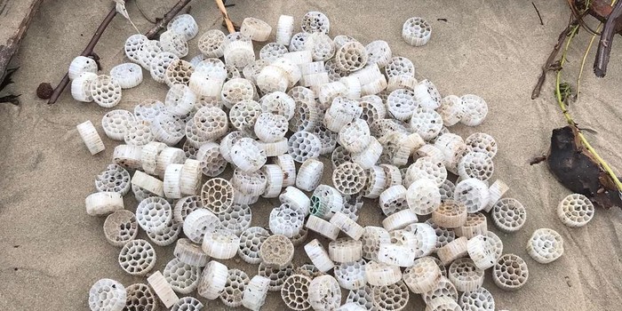 Ura garbitzeko filtroekin kutsatu dira Bidasoa eta bere ur-bazterrak
