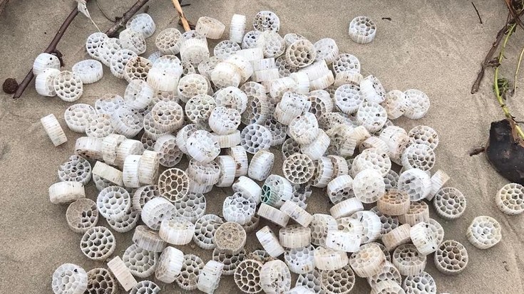 Ura garbitzeko filtroekin kutsatu dira Bidasoa eta bere ur-bazterrak