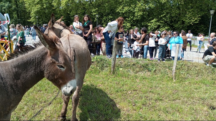 Txingudiko gurasoek 825€ bildu dituzte Irungo Euskal Jira sustengatzeko