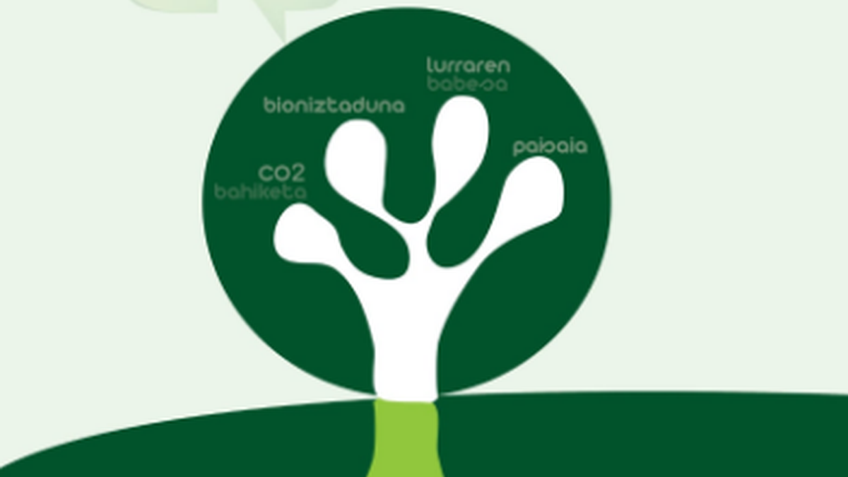 UHANDRE, AMURRIOKO BASO BIZIAK