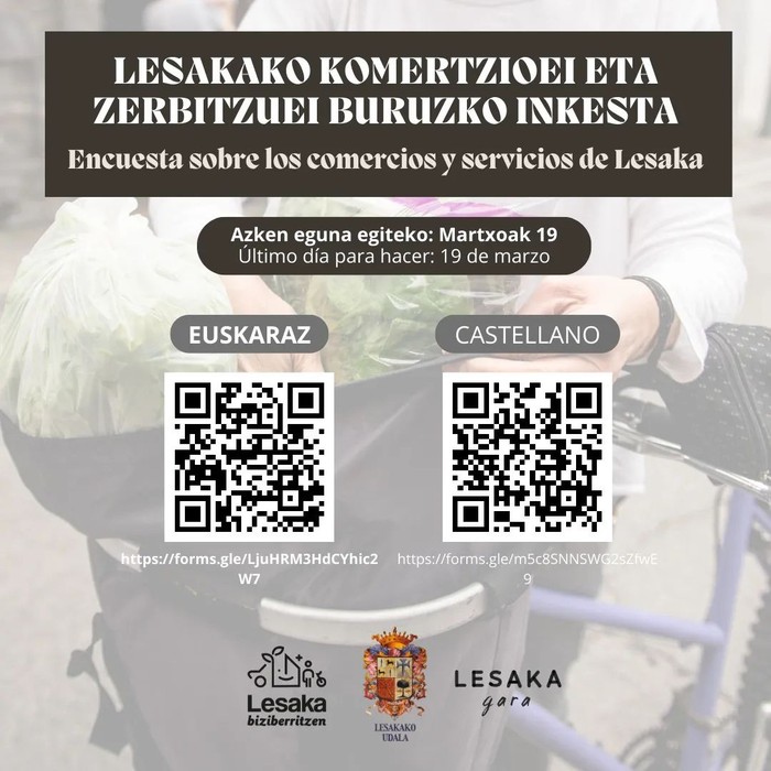 Hirugarren sektorearen inguruan lesakarren iritzia jakiteko inkesta zabaldu dute