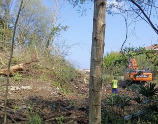 San Migel-Anakako basotxoaren suntsiketa justifikatu du Irungo Udalak